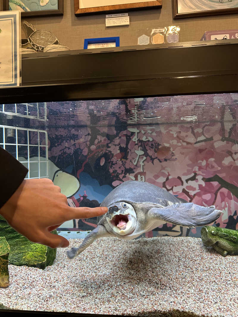 それいけ！さんの松本湯のサ活写真