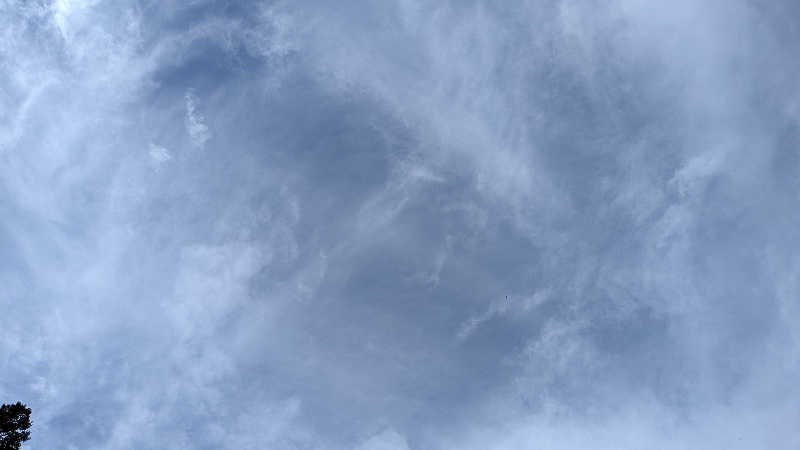 タカノートさんのOJIYA SAUNA DENのサ活写真