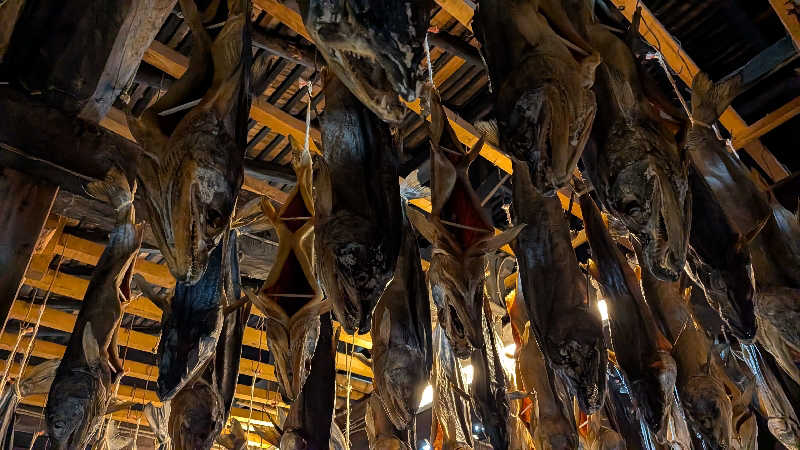 タカノートさんの朝日きれい館のサ活写真