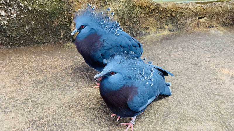 ベルさんの水沢温泉館のサ活写真