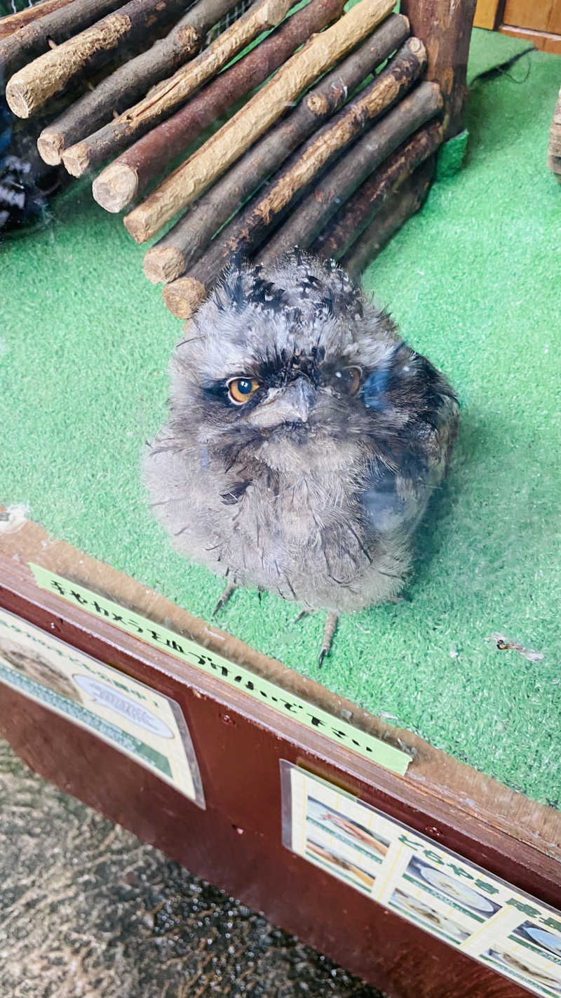 ベルさんの水沢温泉館のサ活写真