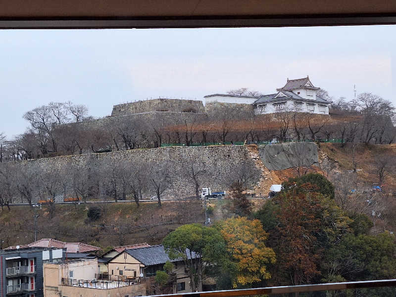 妙見山の申し子さんのザ・シロヤマテラス津山別邸のサ活写真
