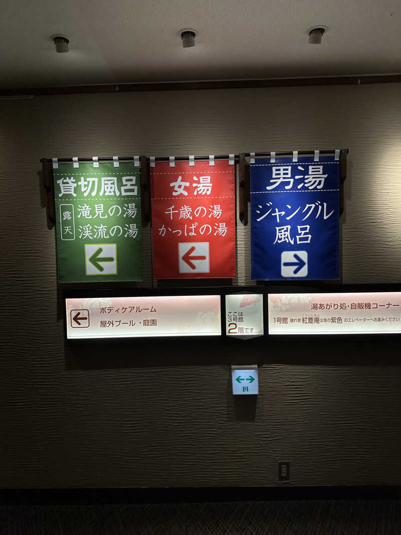 すてっぷさんの原鶴温泉 泰泉閣のサ活写真