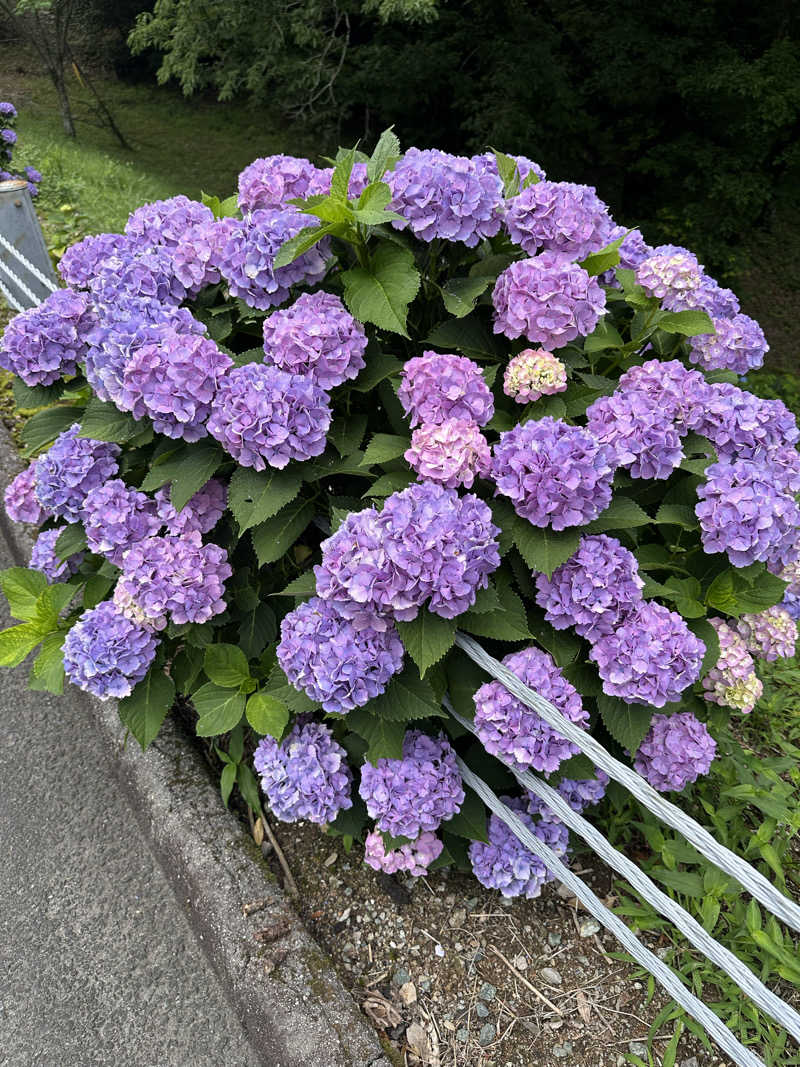 すてっぷさんの黒木温泉 くつろぎの湯 (くつろぎの森 グリーンピア八女)のサ活写真