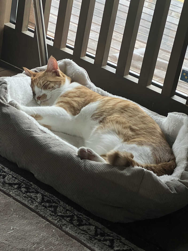 ジュンさんのやすらぎの宿 郡山三穂田温泉のサ活写真