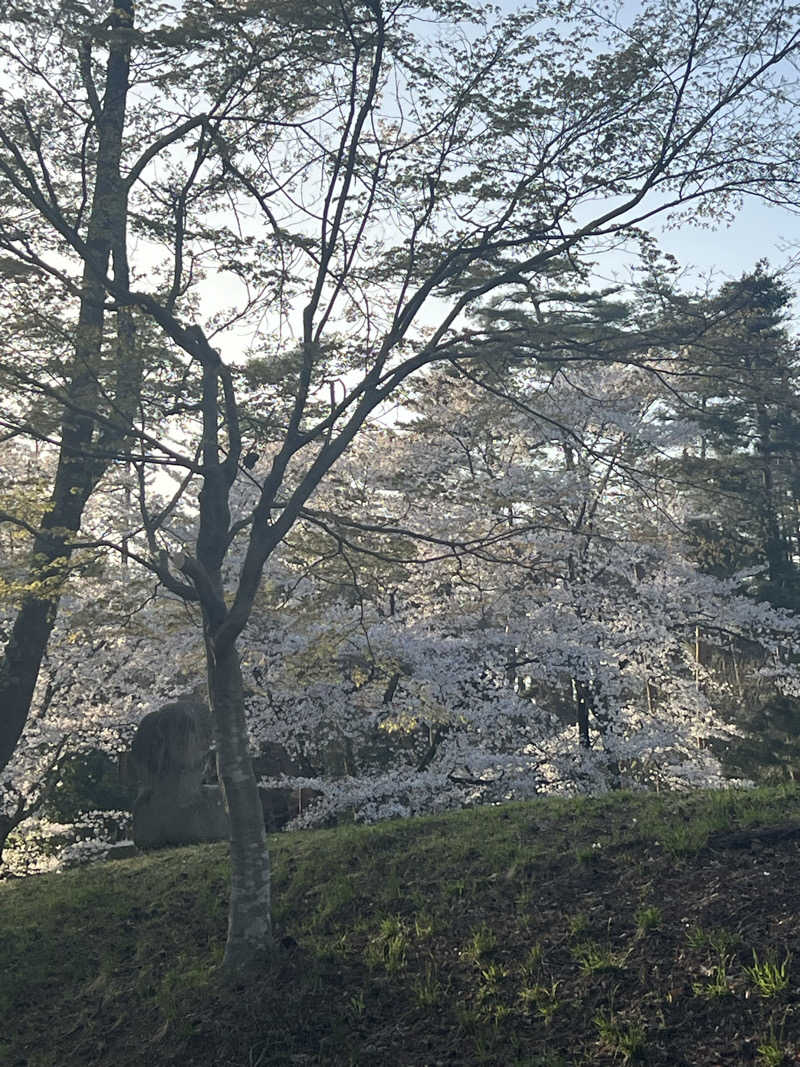 ジュンさんのSauna & Spa Green サウナ&スパ グリーン～愛宕山温泉～のサ活写真
