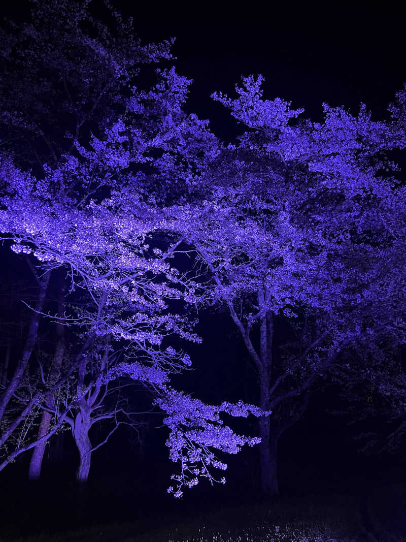 ジュンさんのSauna & Spa Green サウナ&スパ グリーン～愛宕山温泉～のサ活写真