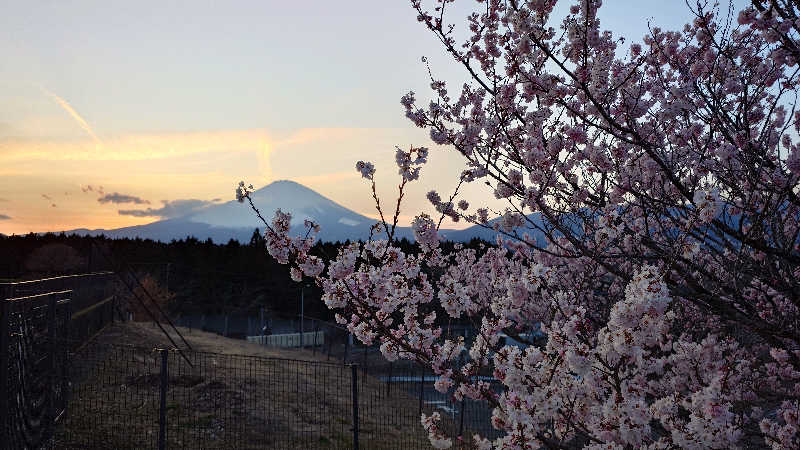 ムロロさんのあしがら温泉のサ活写真