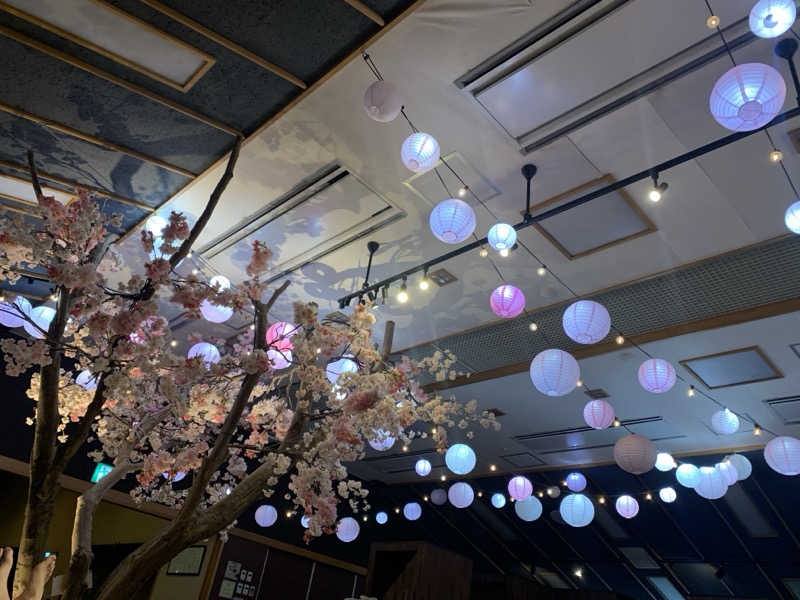 ムサレンジャーさんのおふろcafe bijinyu | 美肌湯のサ活写真