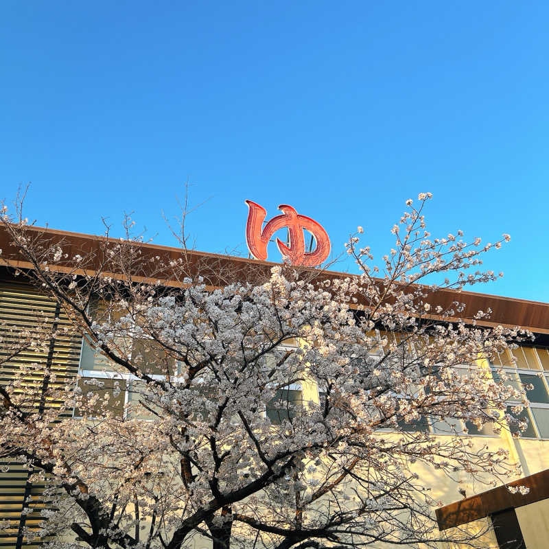しゅんさんの大泉寺温泉 福の湯のサ活写真