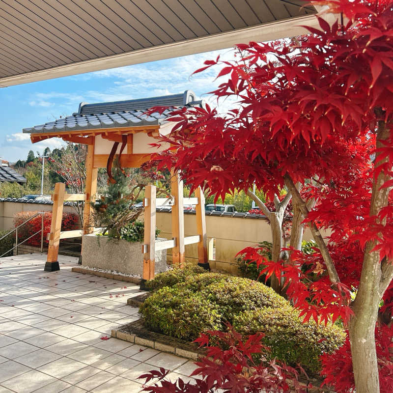 しゅんさんの天光の湯のサ活写真