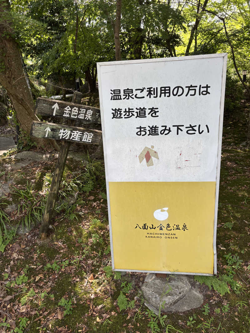 イヌヌワさんの八面山金色温泉のサ活写真