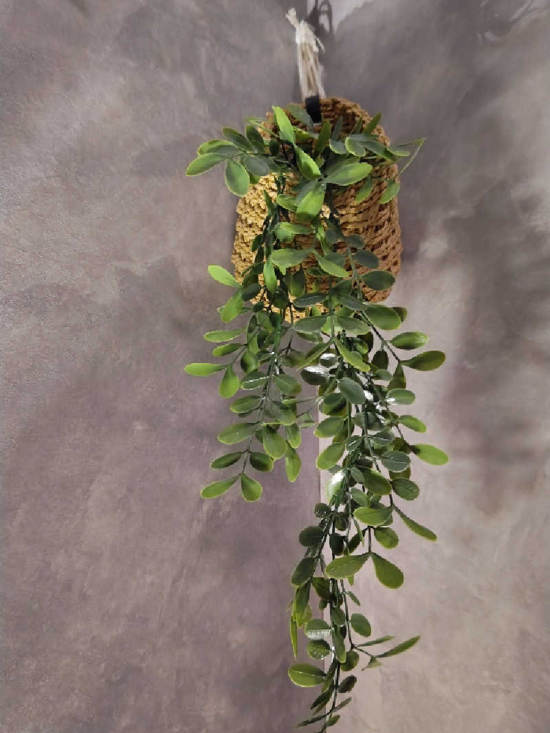 kaa7jpさんのラストサウナ LAST SAUNAのサ活写真