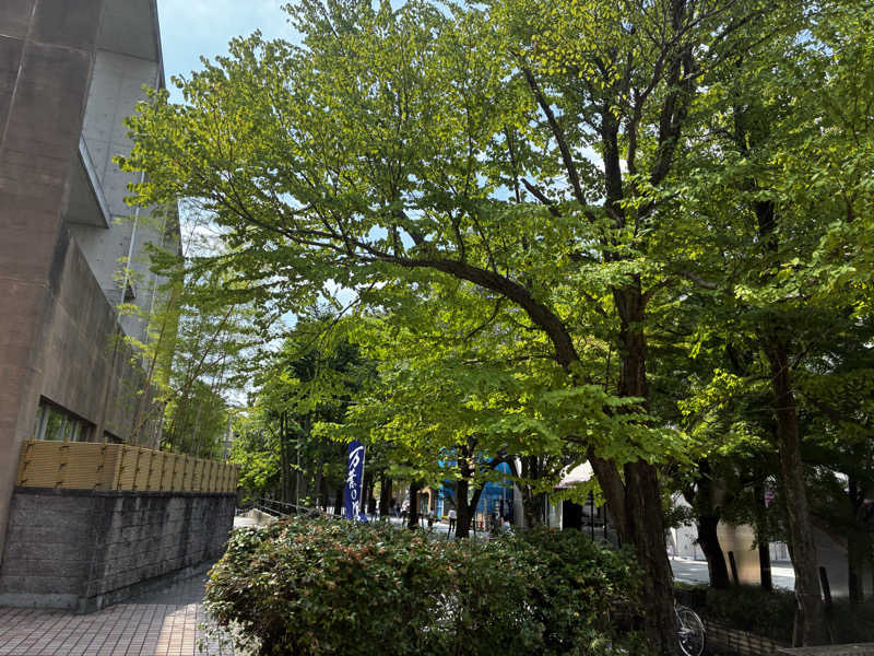 Kkkさんの京都  竹の郷温泉  万葉の湯のサ活写真