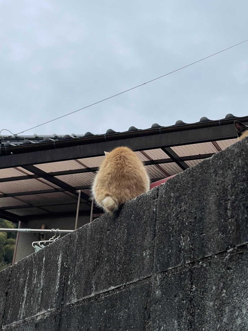 武田 陸さんの石段の郷 佐俣の湯(道の駅 美里 佐俣の湯)のサ活写真