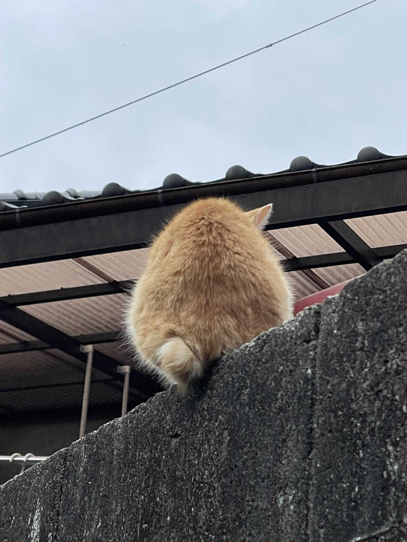 武田 陸さんの石段の郷 佐俣の湯(道の駅 美里 佐俣の湯)のサ活写真