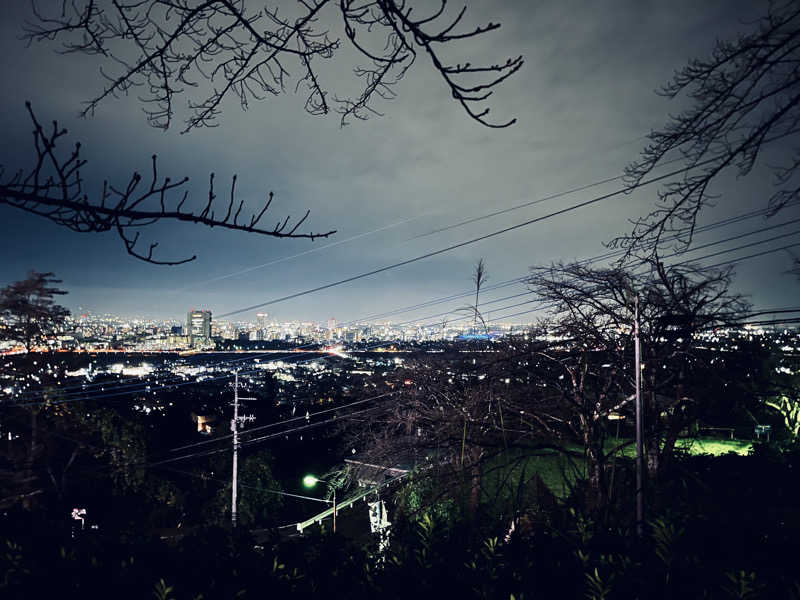 こやしばさんの観音山サウナ蒸寺のサ活写真