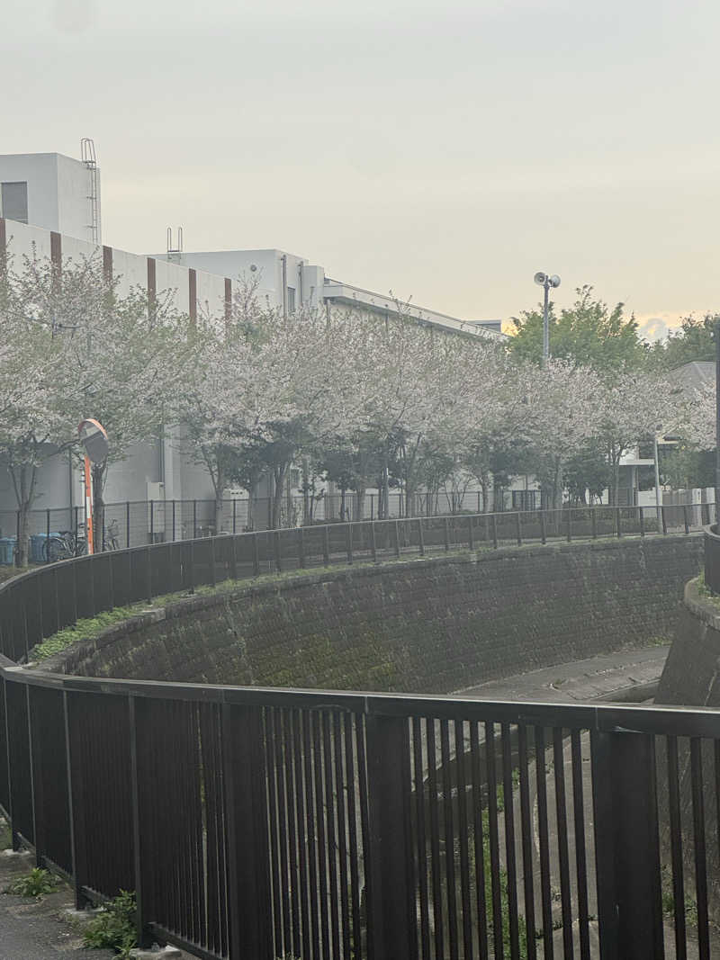 かなこさんの天然温泉 たからゆ -中野若宮温泉-のサ活写真