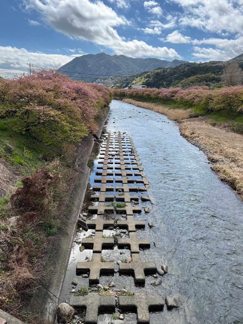 Kenさんさんの伊豆稲取温泉 食べるお宿 浜の湯のサ活写真