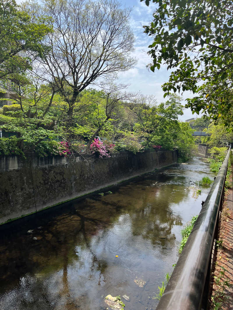 Kenさんさんのお湯どころ野川のサ活写真