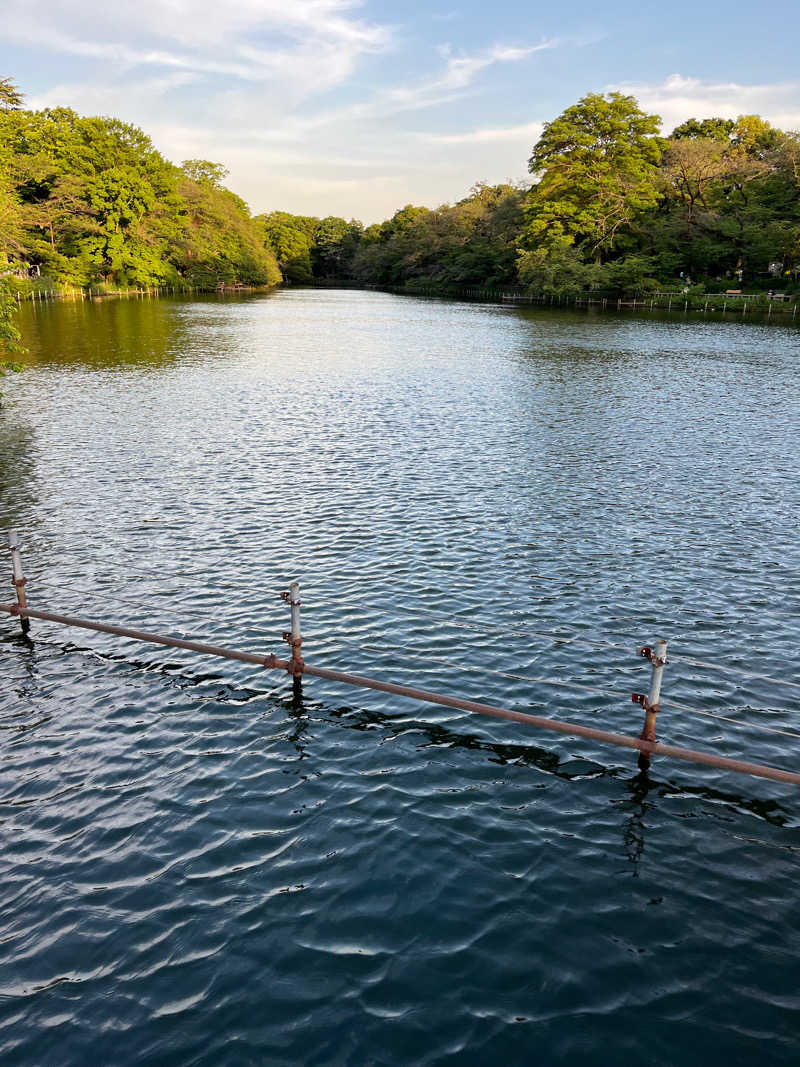 Kenさんさんのお湯どころ野川のサ活写真