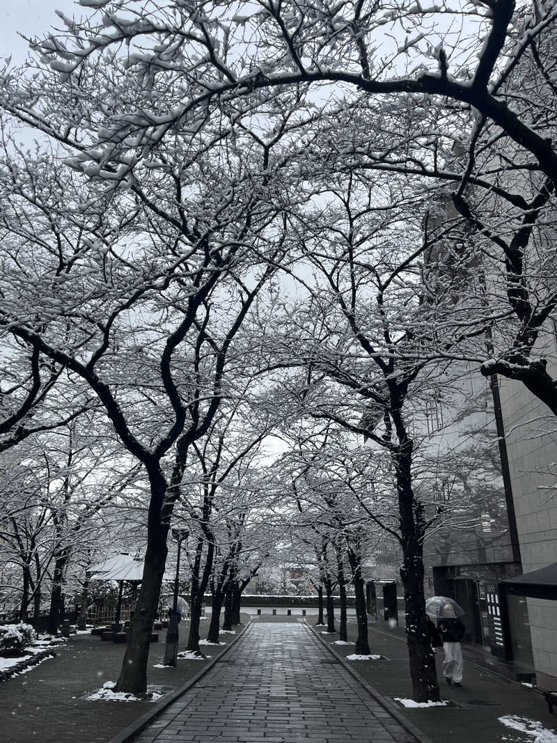 Kenさんさんの白山湯 高辻店のサ活写真