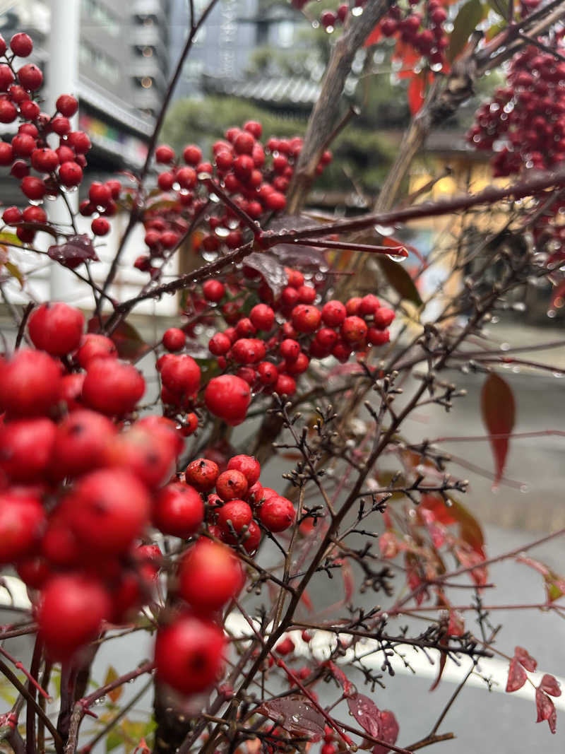 Kenさんさんの白山湯 高辻店のサ活写真