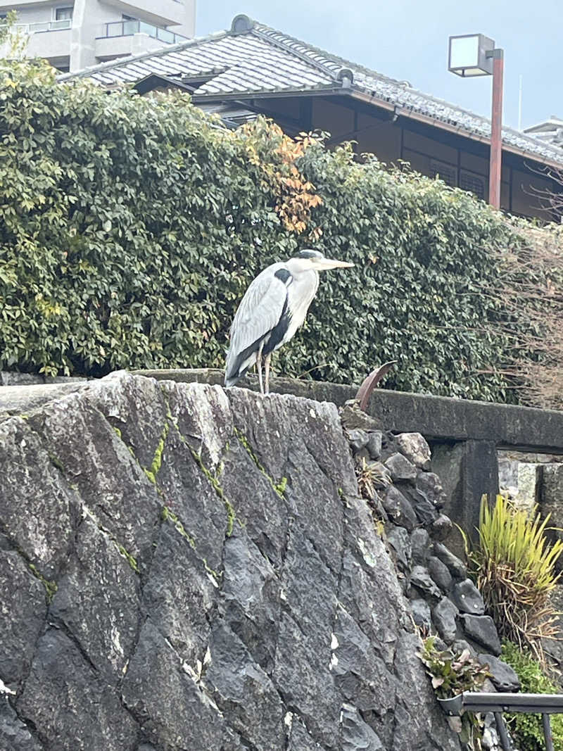 Kenさんさんの白山湯 高辻店のサ活写真