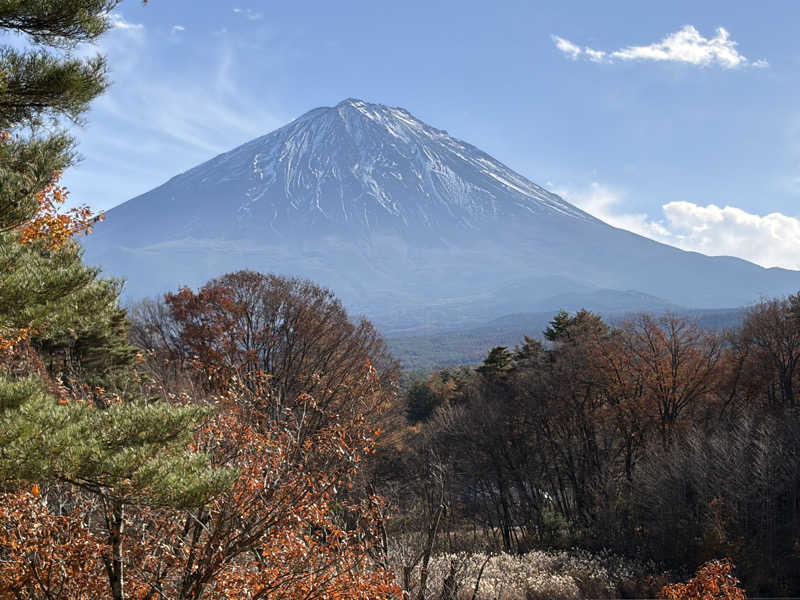 イゴさんの富士眺望の湯 ゆらりのサ活写真