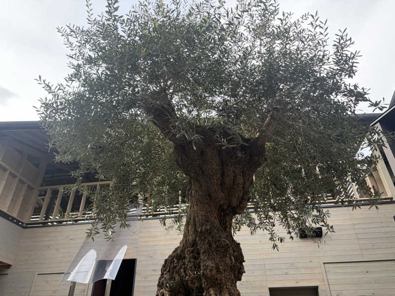 イゴさんのsauna kolme kylä (サウナ コルメ キュラ)のサ活写真