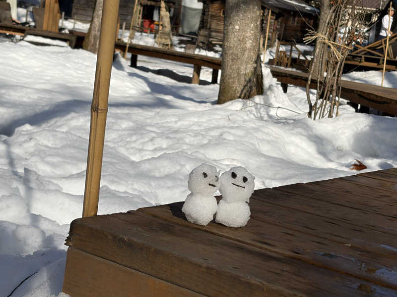 イゴさんのThe Saunaのサ活写真