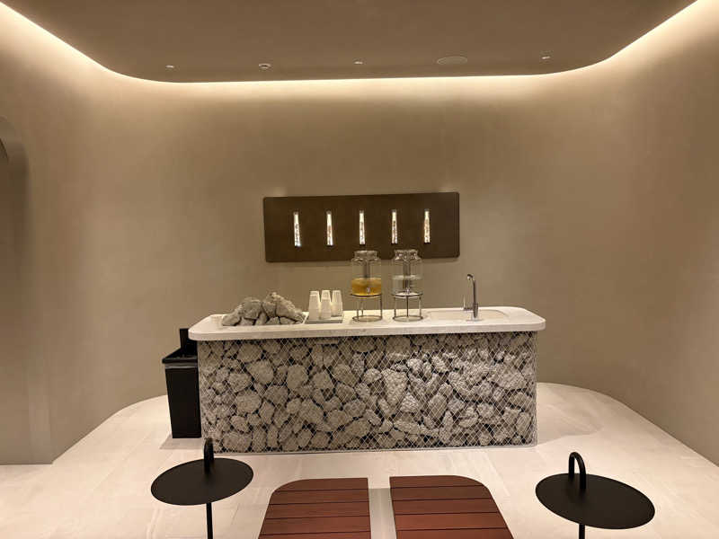 イゴさんのトランセンダーホテル横浜のサ活写真