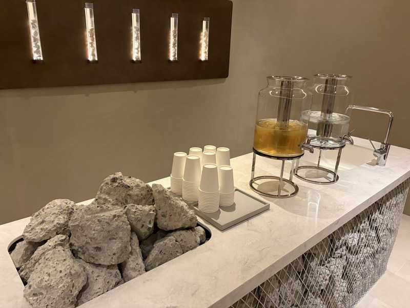 イゴさんのトランセンダーホテル横浜のサ活写真