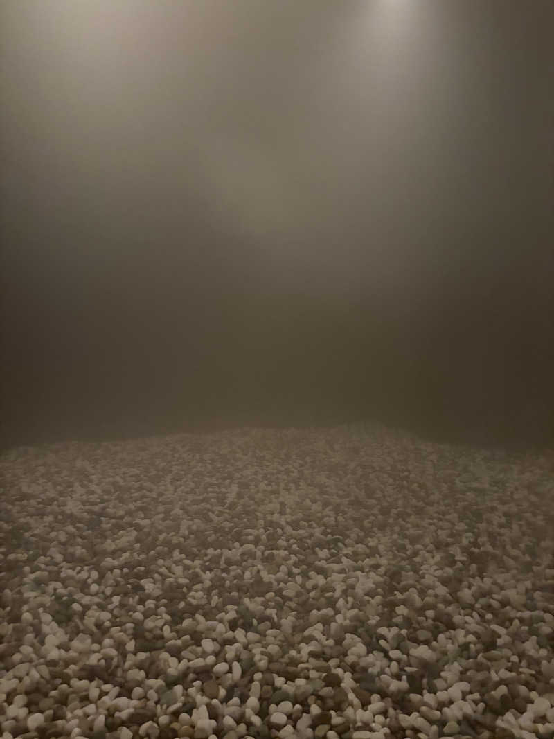 イゴさんのトランセンダーホテル横浜のサ活写真