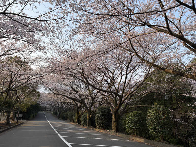 イゴさんの駿河の湯 坂口屋のサ活写真