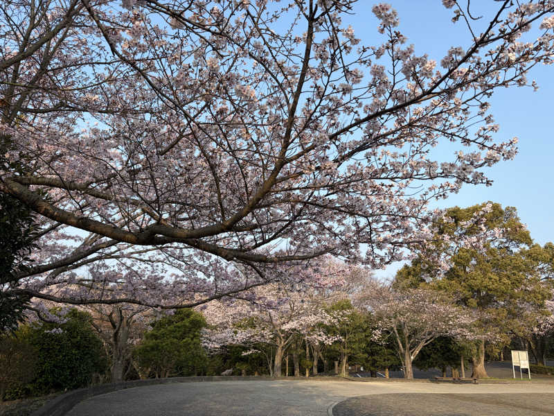 イゴさんの駿河の湯 坂口屋のサ活写真