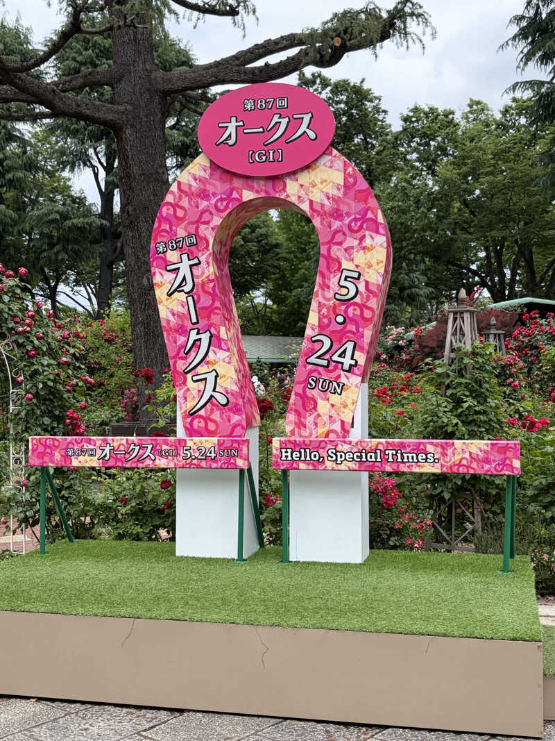 イゴさんの天然温泉 扇浜の湯 ドーミーイン川崎のサ活写真