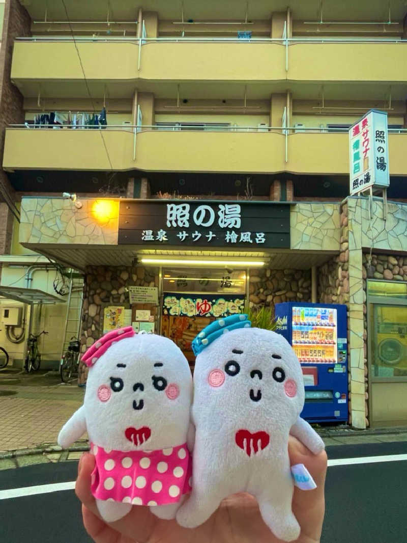 21mgさんの照の湯のサ活写真