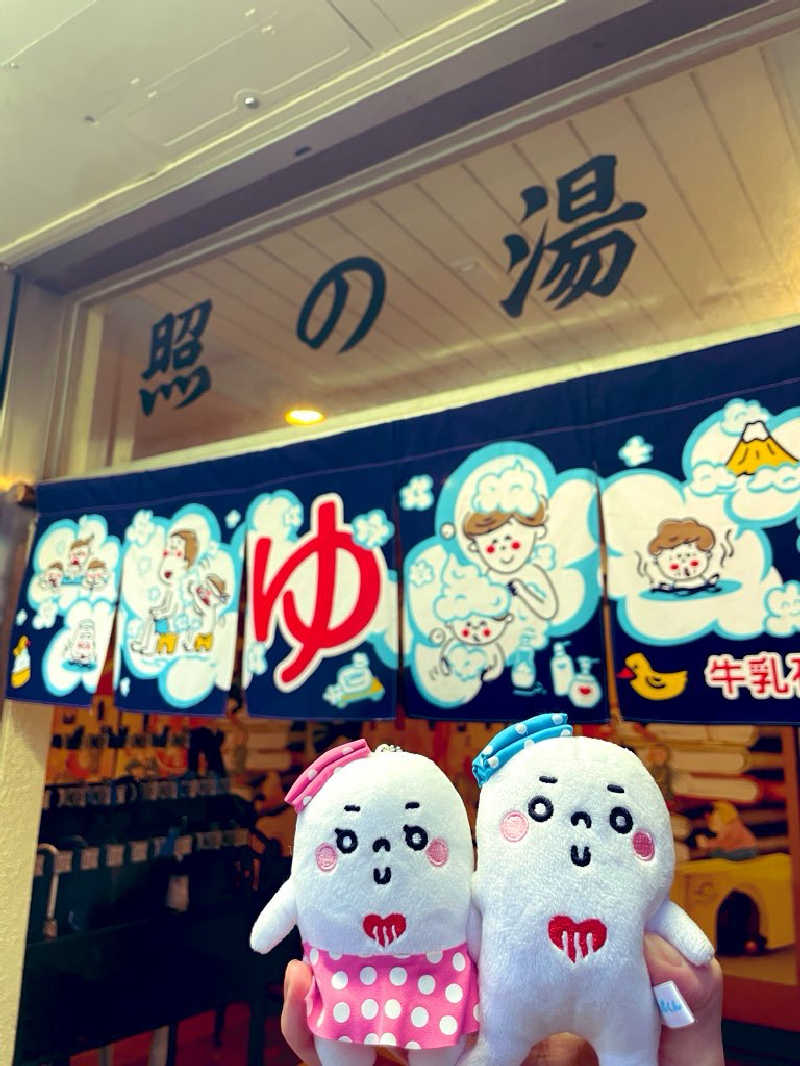 21mgさんの照の湯のサ活写真