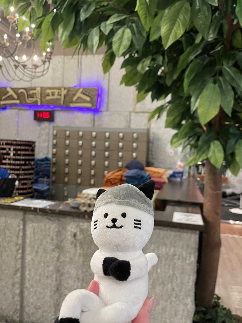 21mgさんのスパレックス東大門のサ活写真