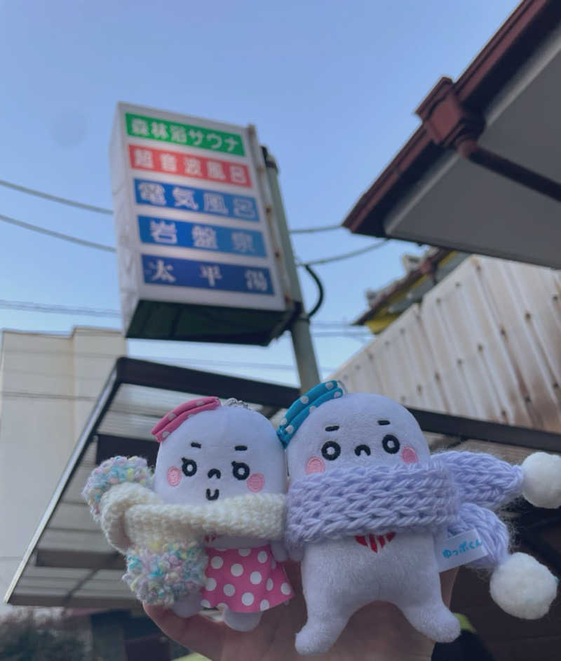 21mgさんの太平湯のサ活写真