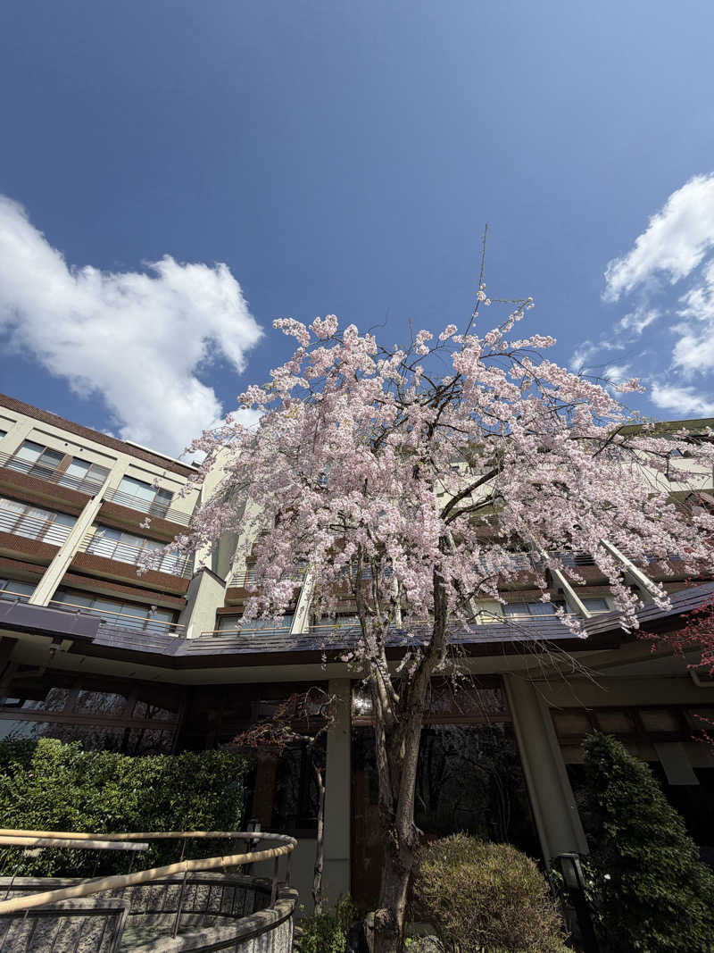 Shinさんの湯田上温泉  ホテル小柳 (oyanagi)のサ活写真