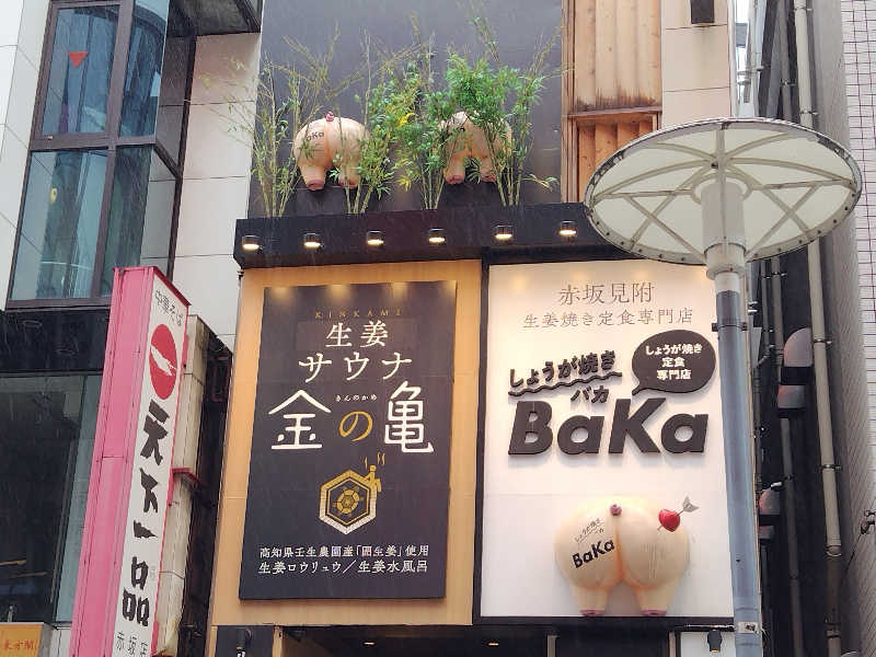 しおとらさんの生姜サウナ 金の亀のサ活写真