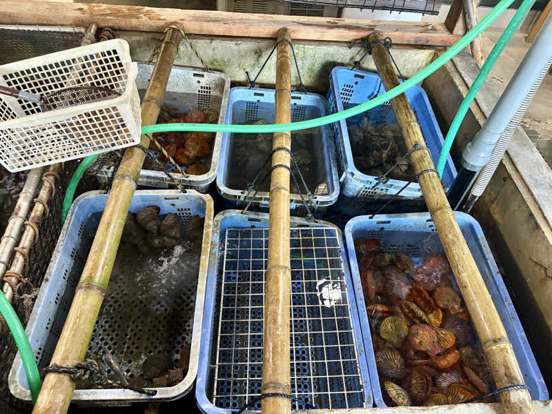 hamuchさんの塩湯のサ活写真