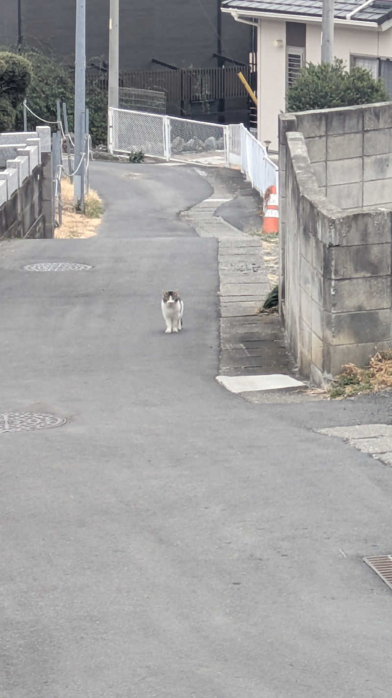 あまみ君さんの観音山サウナ蒸寺のサ活写真