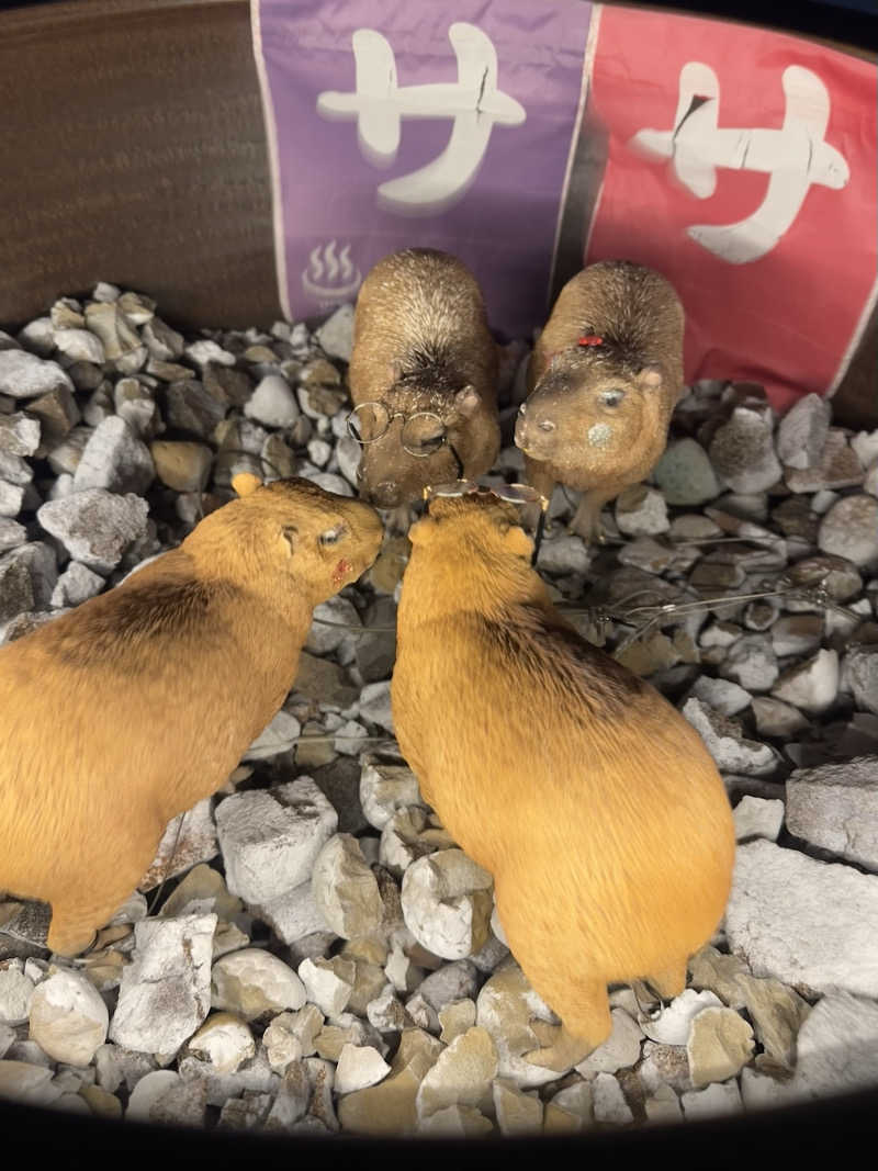 ぽんさんの富士山天然水SPA サウナ鷹の湯のサ活写真