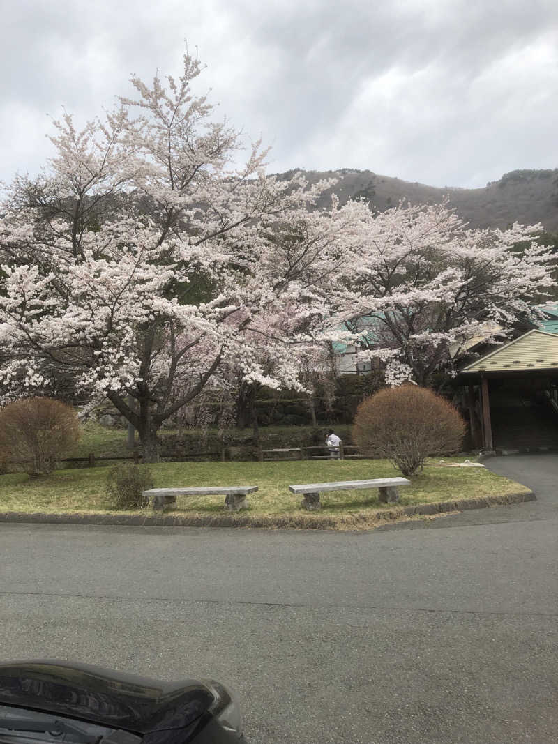 あべさんの夏虫のお湯っこのサ活写真