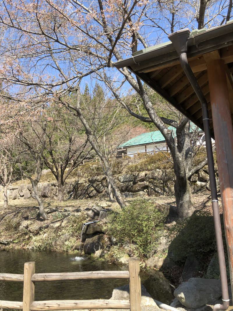 あべさんの夏虫のお湯っこのサ活写真