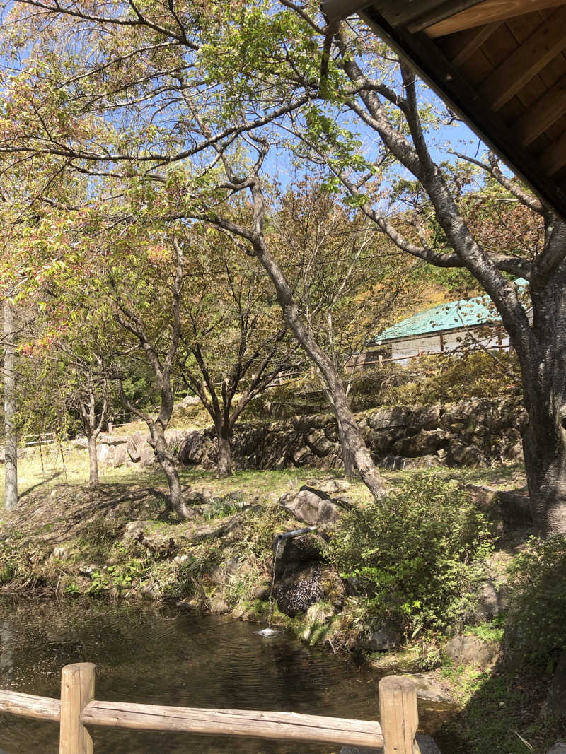 あべさんの夏虫のお湯っこのサ活写真