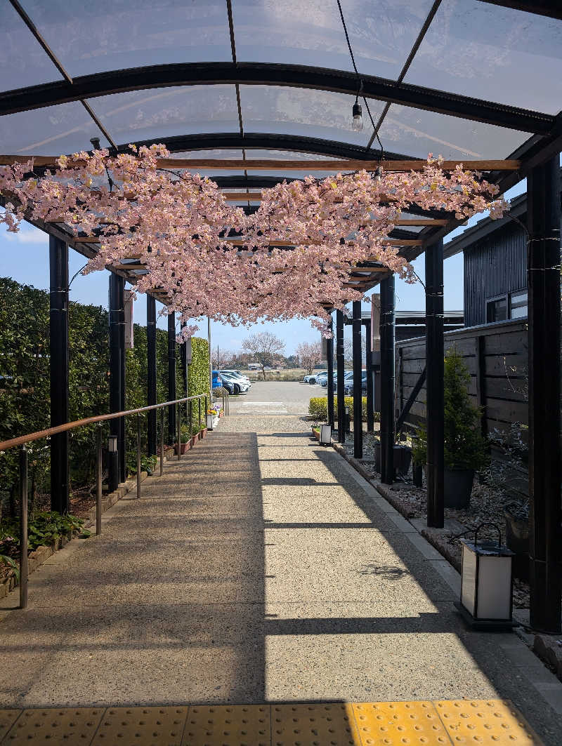 めんさんの弥彦桜井郷温泉 さくらの湯のサ活写真